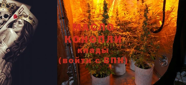 стаф Арсеньев
