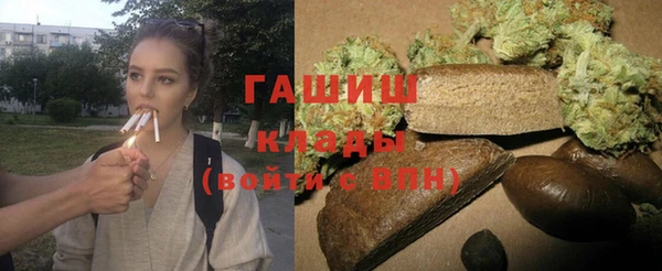 стаф Арсеньев