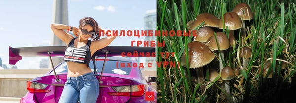 стаф Арсеньев