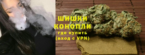 стаф Арсеньев