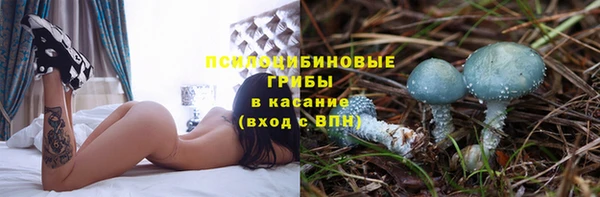 стаф Арсеньев