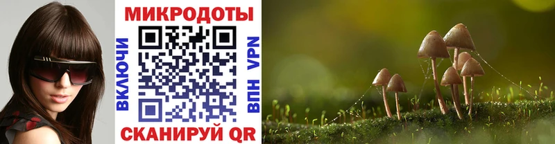 Купить  Сусуман  Псилоцибиновые грибы ЛСД 