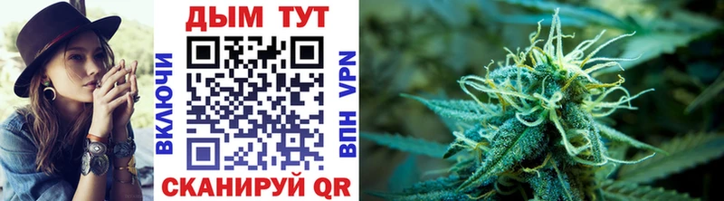 Купить где  Сусуман  Марихуана SATIVA & INDICA 